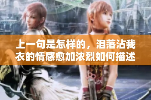 上一句是怎样的，泪落沾我衣的情感愈加浓烈如何描述