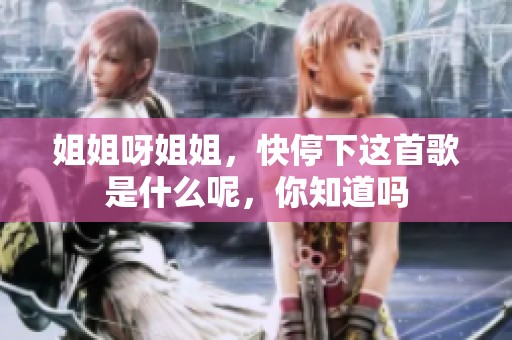 姐姐呀姐姐，快停下这首歌是什么呢，你知道吗