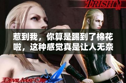惹到我，你算是踢到了棉花啦，这种感觉真是让人无奈呀