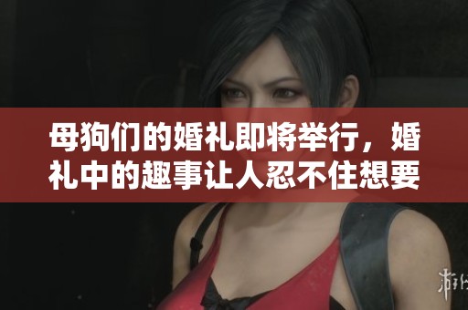 母狗们的婚礼即将举行，婚礼中的趣事让人忍不住想要分享