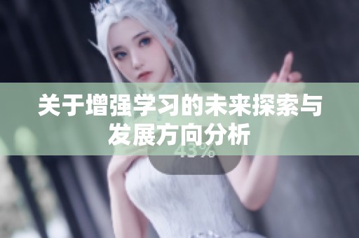 关于增强学习的未来探索与发展方向分析