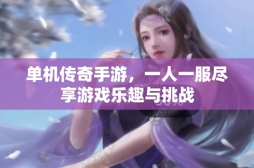 单机传奇手游，一人一服尽享游戏乐趣与挑战