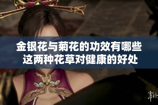 金银花与菊花的功效有哪些 这两种花草对健康的好处值得了解