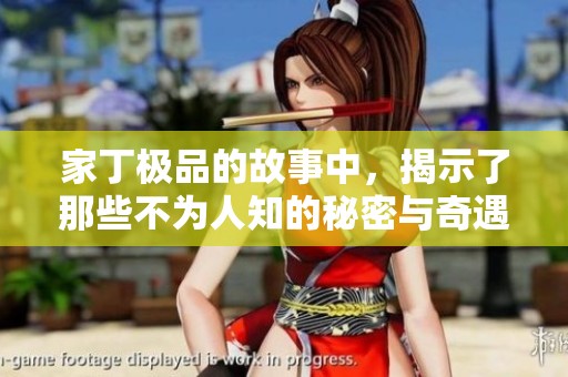 家丁极品的故事中，揭示了那些不为人知的秘密与奇遇