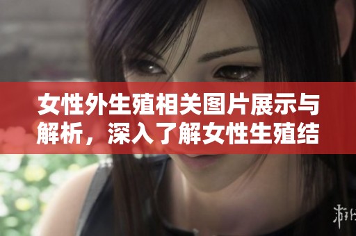 女性外生殖相关图片展示与解析，深入了解女性生殖结构的重要性与特征