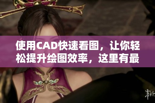 使用CAD快速看图，让你轻松提升绘图效率，这里有最佳技巧分享