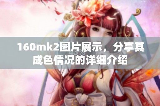 160mk2图片展示，分享其成**况的详细介绍
