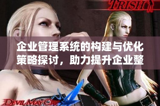 企业管理系统的构建与优化策略探讨，助力提升企业整体运营效率