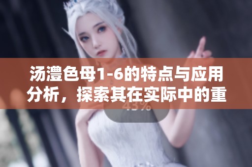 汤澧色母1-6的特点与应用分析，探索其在实际中的重要性与价值