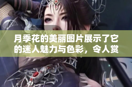 月季花的美丽图片展示了它的迷人魅力与色彩，令人赏心悦目