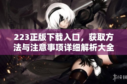 223正版下载入口，获取方法与注意事项详细解析大全