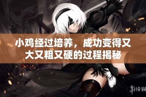 小鸡经过培养，成功变得又大又粗又硬的过程揭秘