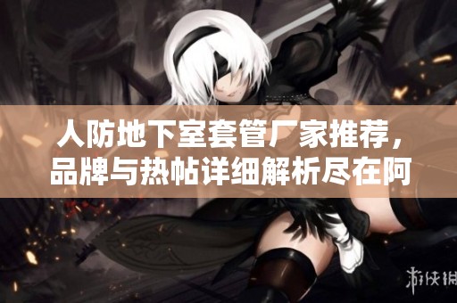人防地下室套管厂家推荐，品牌与热帖详细解析尽在阿重相关文章中