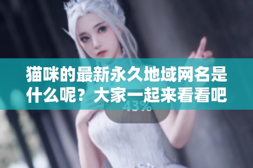 猫咪的最新永久地域网名是什么呢？大家一起来看看吧！