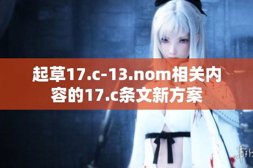 起草17.c-13.nom相关内容的17.c条文新方案