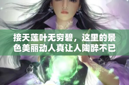 接天莲叶无穷碧，这里的景色美丽动人真让人陶醉不已