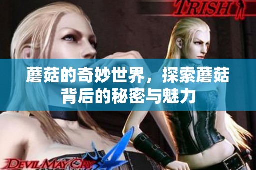 蘑菇的奇妙世界，探索蘑菇背后的秘密与魅力