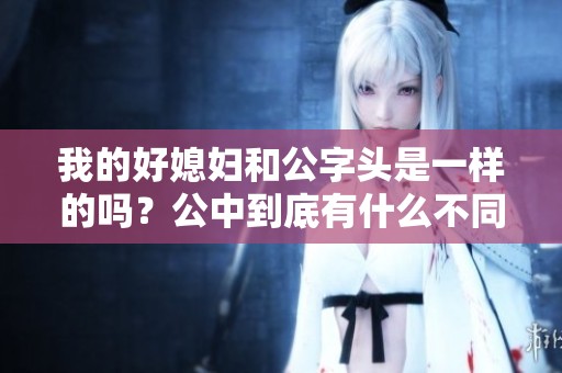 我的好媳妇和公字头是一样的吗？公中到底有什么不同之处呢