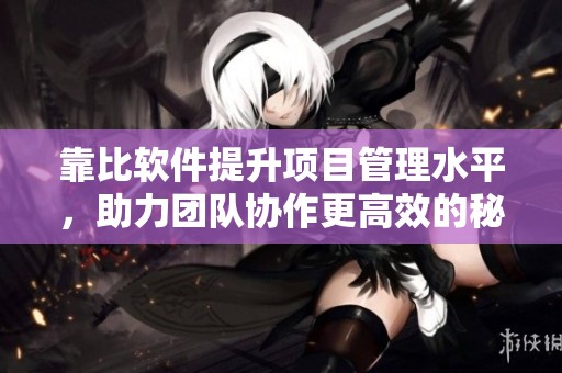 靠比软件提升项目管理水平，助力团队协作更高效的秘密武器