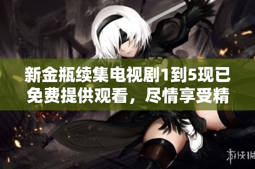 新金瓶续集电视剧1到5现已免费提供观看，尽情享受精彩剧情吧