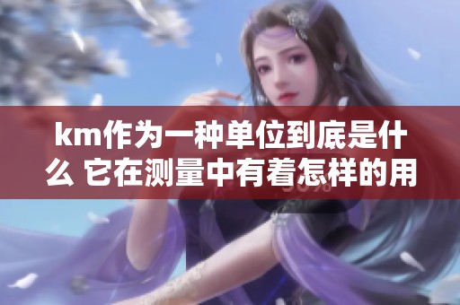 km作为一种单位到底是什么 它在测量中有着怎样的用途和意义