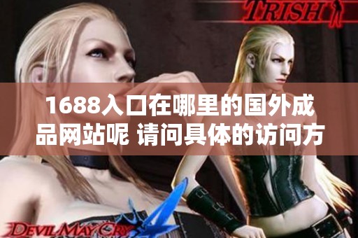 1688入口在哪里的国外成品网站呢 请问具体的访问方式是怎样的