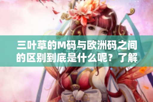 三叶草的M码与欧洲码之间的区别到底是什么呢？了解它们，让你选择更合适的尺码。