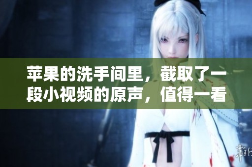 苹果的洗手间里，截取了一段小视频的原声，值得一看。
