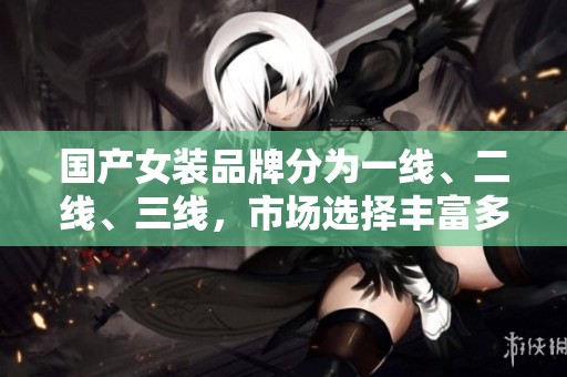 国产女装品牌分为一线、二线、三线，市场选择丰富多样
