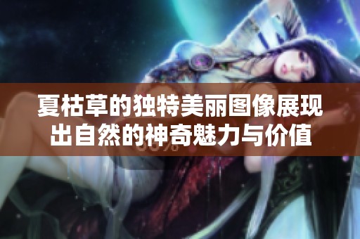 夏枯草的独特美丽图像展现出自然的神奇魅力与价值