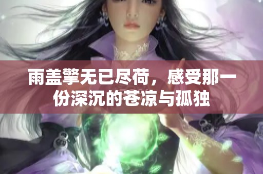 雨盖擎无已尽荷，感受那一份深沉的苍凉与孤独