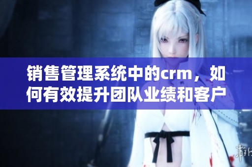 销售管理系统中的crm，如何有效提升团队业绩和客户关系？
