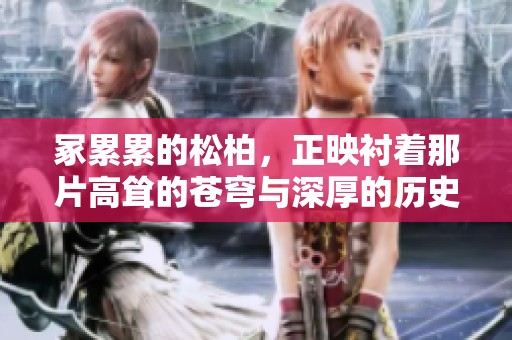 冢累累的松柏，正映衬着那片高耸的苍穹与深厚的历史情怀