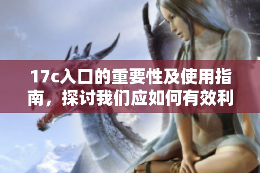 17c入口的重要性及使用指南，探讨我们应如何有效利用17c入口