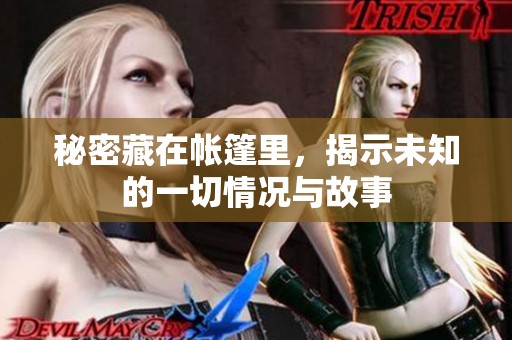 秘密藏在帐篷里，揭示未知的一切情况与故事