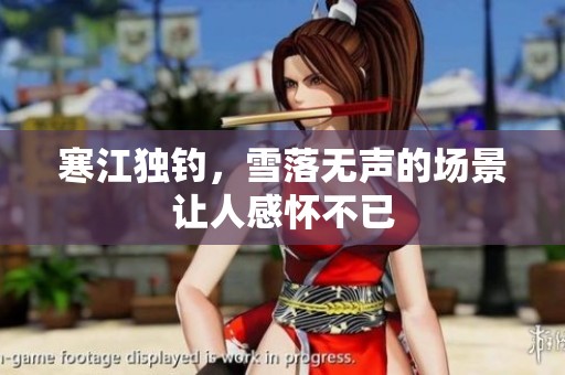 寒江独钓，雪落无声的场景让人感怀不已