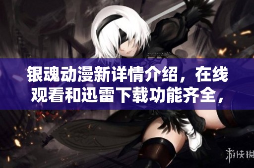 银魂动漫新详情介绍，在线观看和迅雷下载功能齐全，尽在此处分享