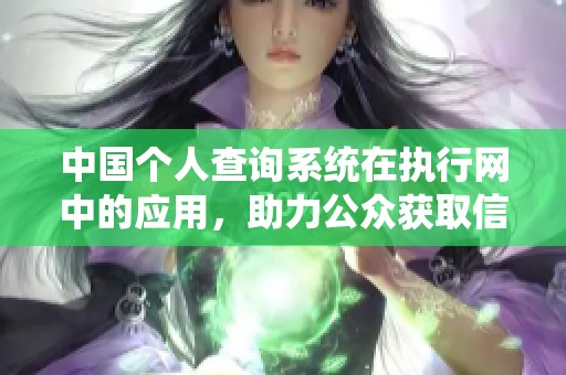 中国个人查询系统在执行网中的应用，助力公众获取信息便捷通道