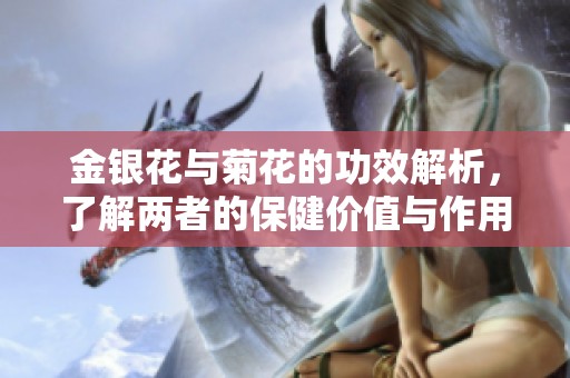 金银花与菊花的功效解析，了解两者的保健价值与作用