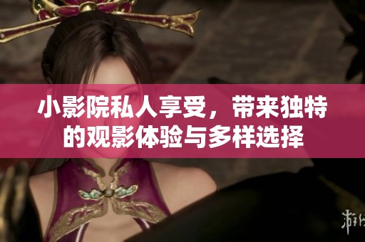 小影院私人享受，带来独特的观影体验与多样选择