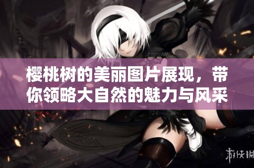 樱桃树的美丽图片展现，带你领略大自然的魅力与风采