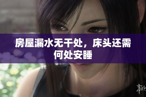 房屋漏水无干处，床头还需何处安睡