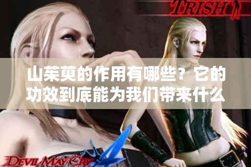 山茱萸的作用有哪些？它的功效到底能为我们带来什么好处呢
