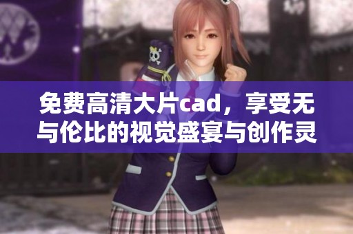 免费高清大片cad，享受无与伦比的视觉盛宴与创作灵感