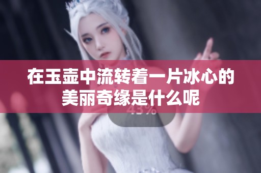在玉壶中流转着一片冰心的美丽奇缘是什么呢