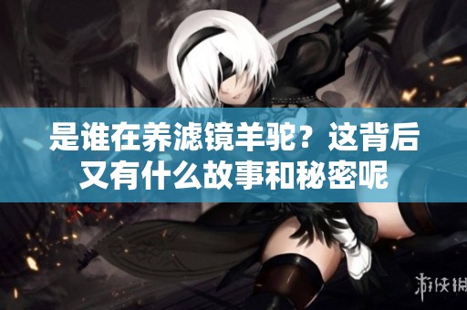是谁在养滤镜羊驼？这背后又有什么故事和秘密呢