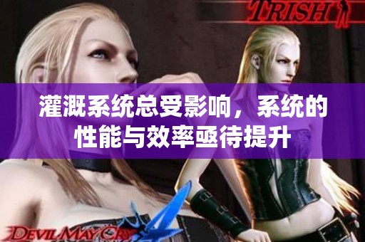 灌溉系统总受影响，系统的性能与效率亟待提升
