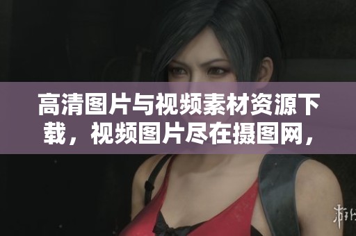 高清图片与视频素材资源下载，视频图片尽在摄图网，快来获取吧