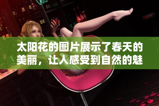 太阳花的图片展示了春天的美丽，让人感受到自然的魅力与活力