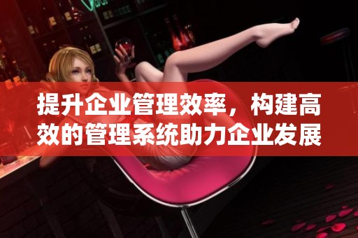提升企业管理效率，构建高效的管理系统助力企业发展